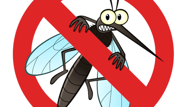 komarci-komarac-suzbijanje-komaraca