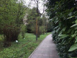 botanička-bašta-jevremovac-beograd (1)
