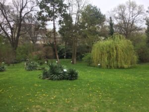 botanička-bašta-jevremovac-beograd (4)