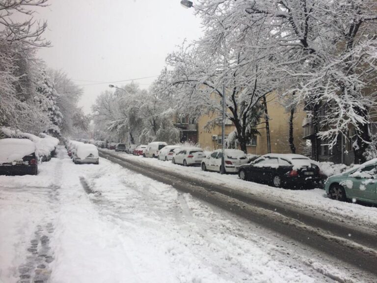sneg-marijane-gregoran-ulica